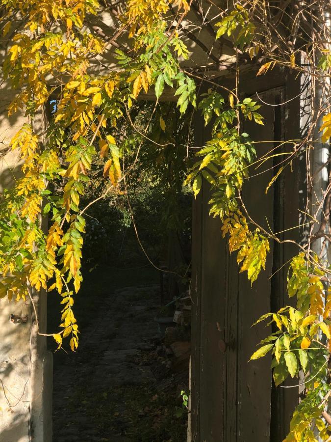 Dans Un Cadre Exceptionnel, Ferme Renovee A 17Km De Paris Villa Boissy-Saint-Léger Dış mekan fotoğraf